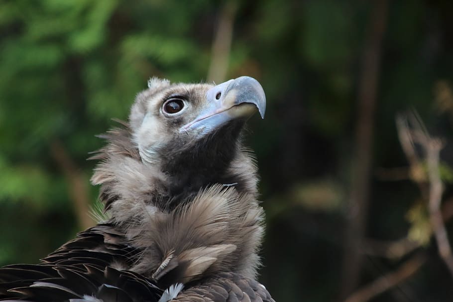 Largest zoo in the world 