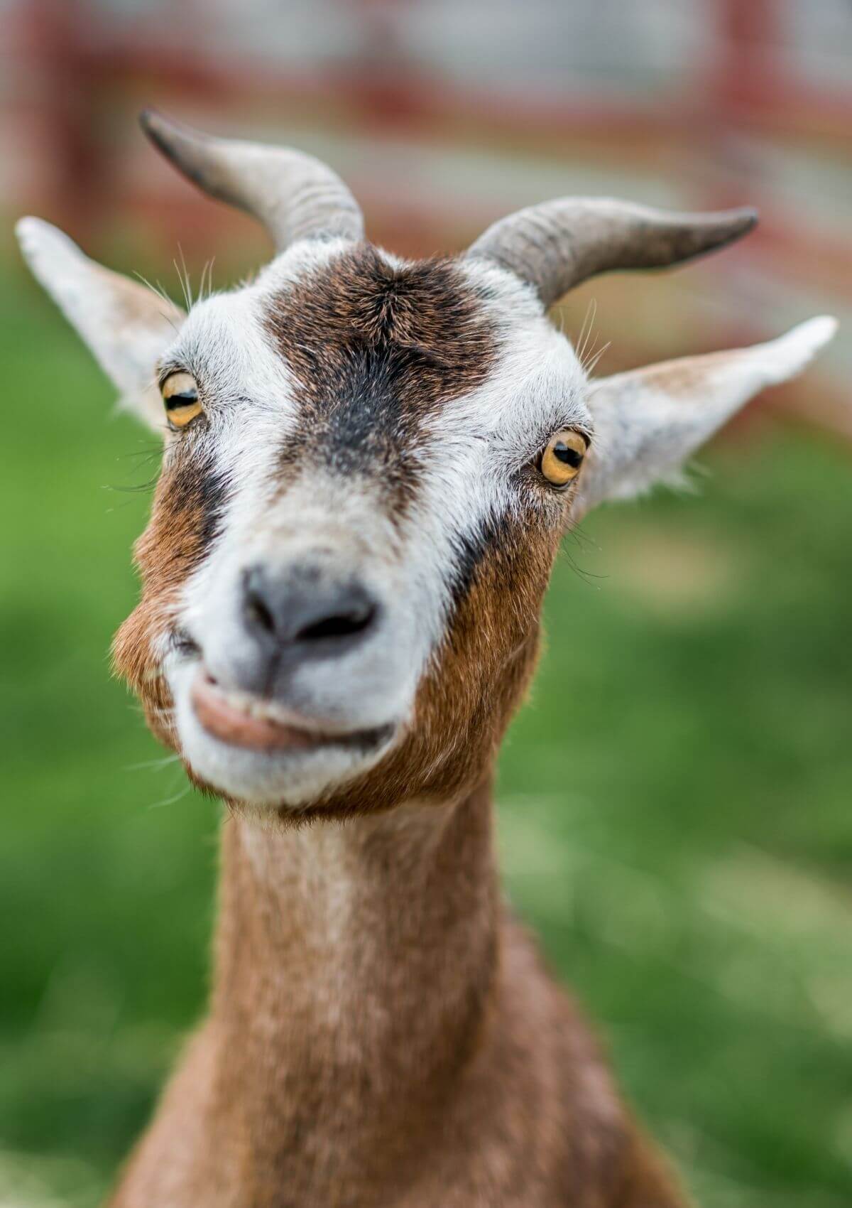 biggest zoos in the world