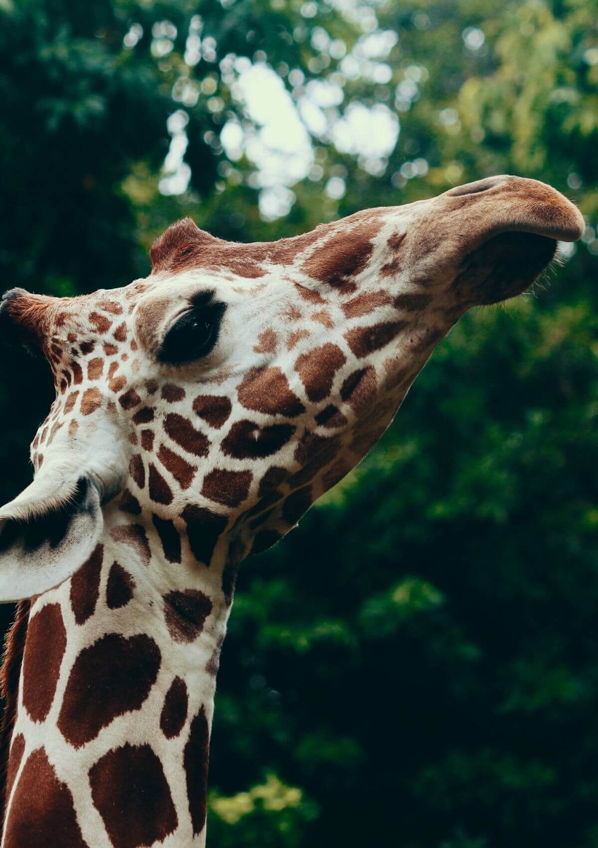 largest zoos in the world