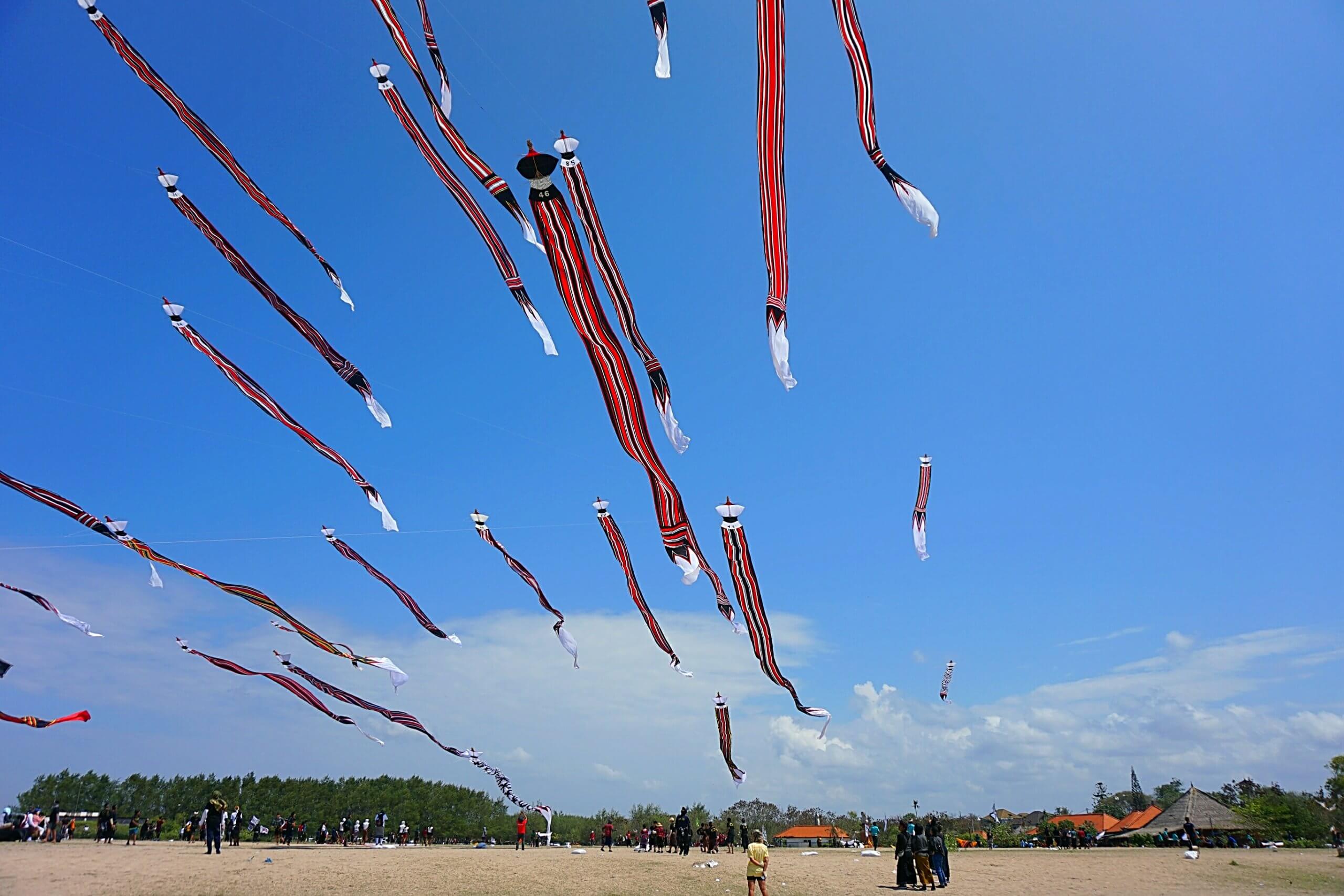 Kite festivals around the world