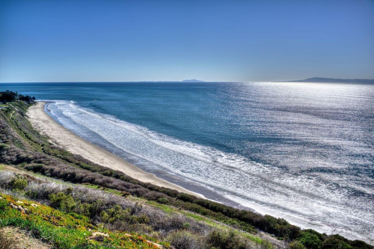 DAYS OUT IN CALIFORNIA