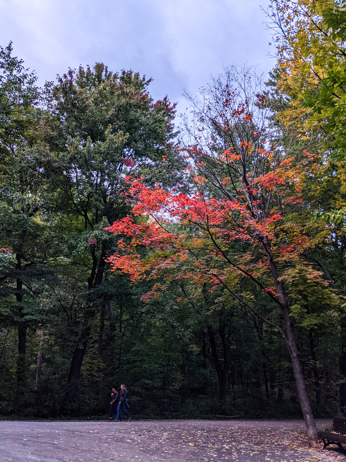 romantic weekend in montreal