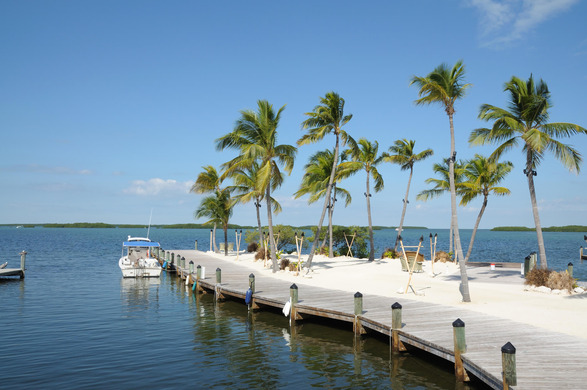 Jetty and Palm Trees on Florida Keys