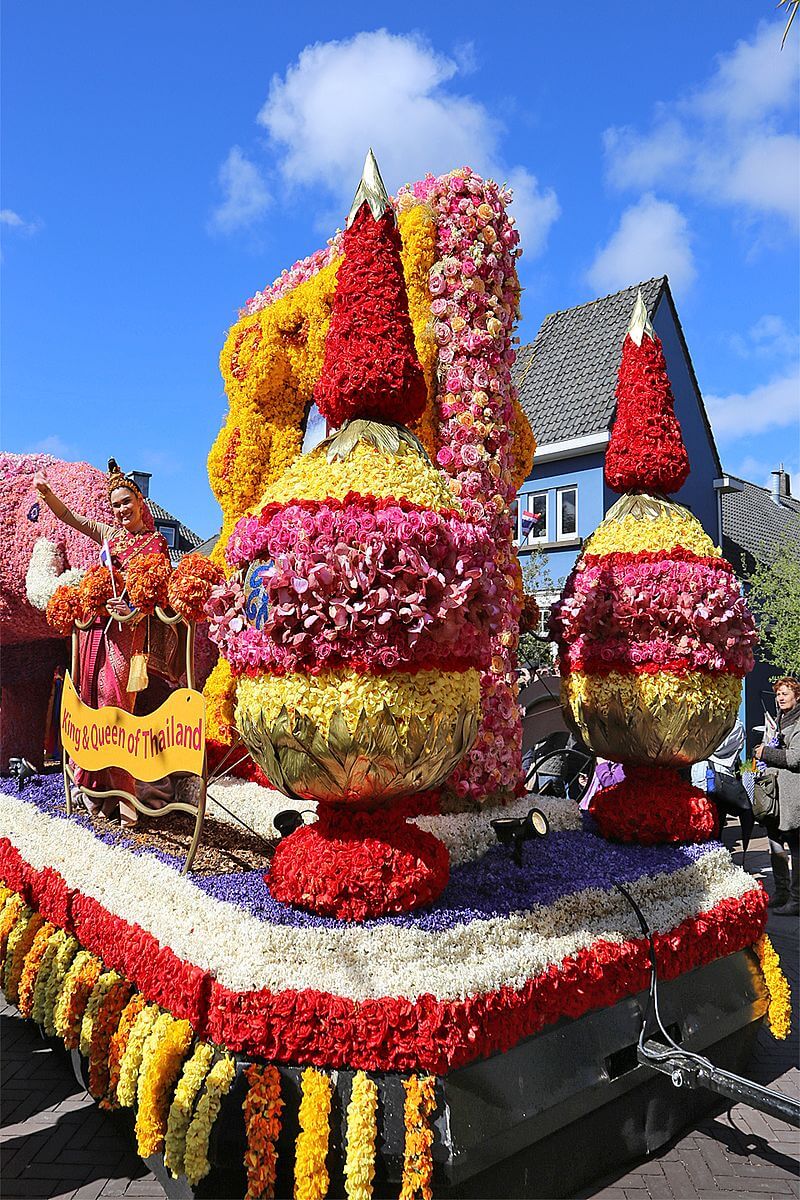 festivals and flowers