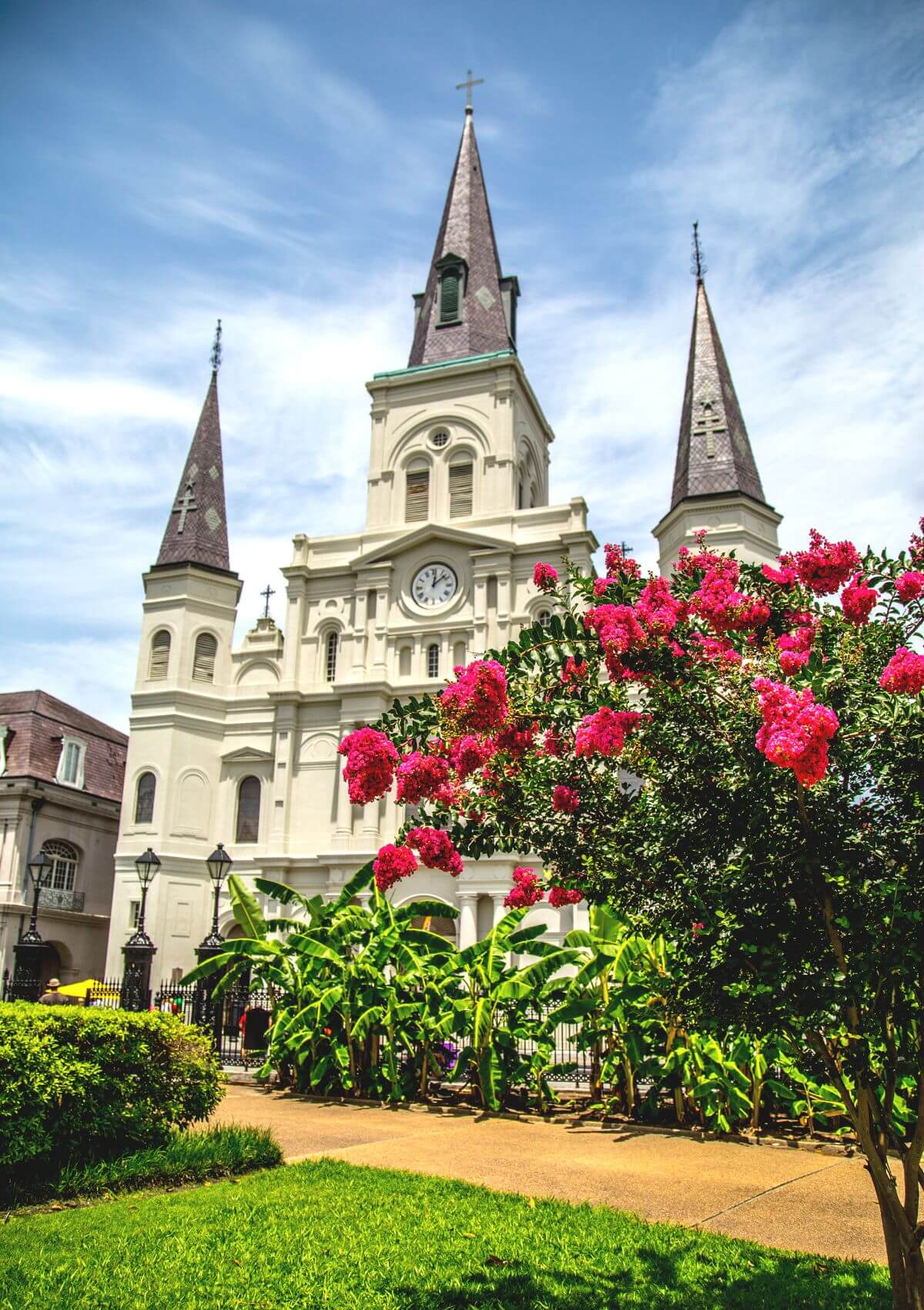 what to buy in new orleans