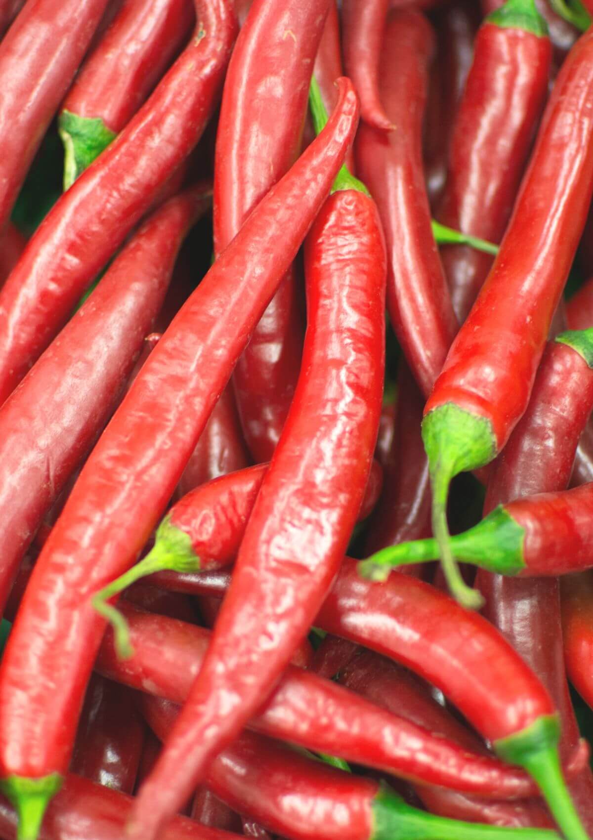 new orleans souvenirs