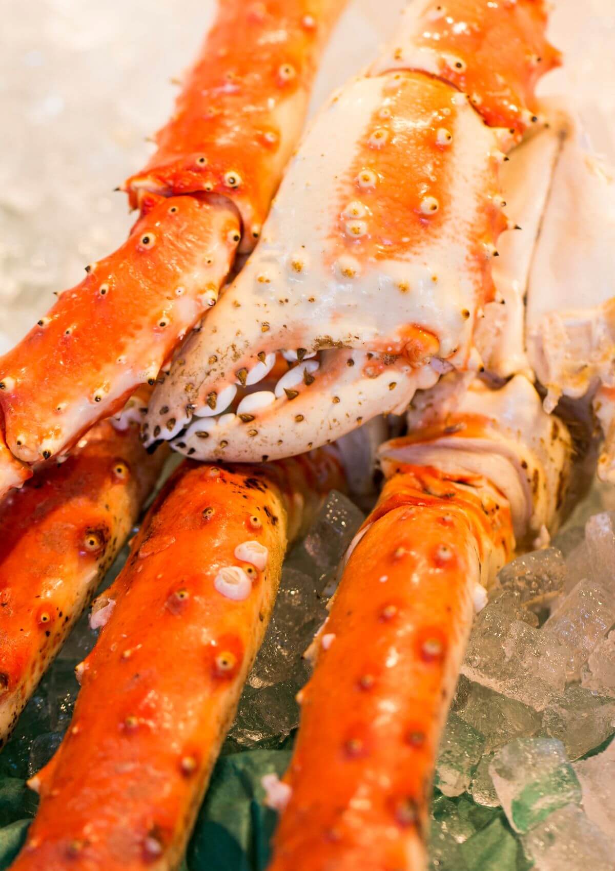 eating in panama city beach