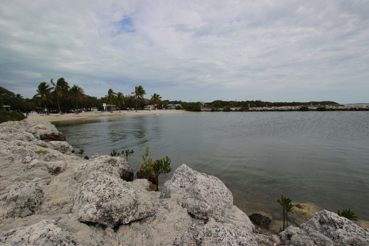 Florida Keys beach
