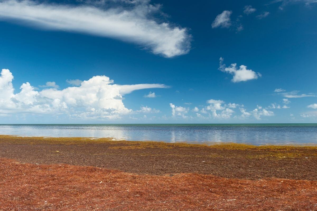 Florida Keys beach