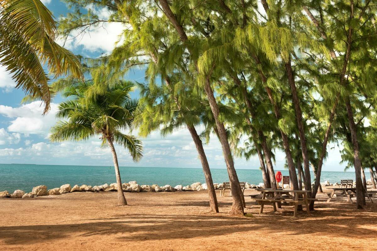 beach in the florida keys