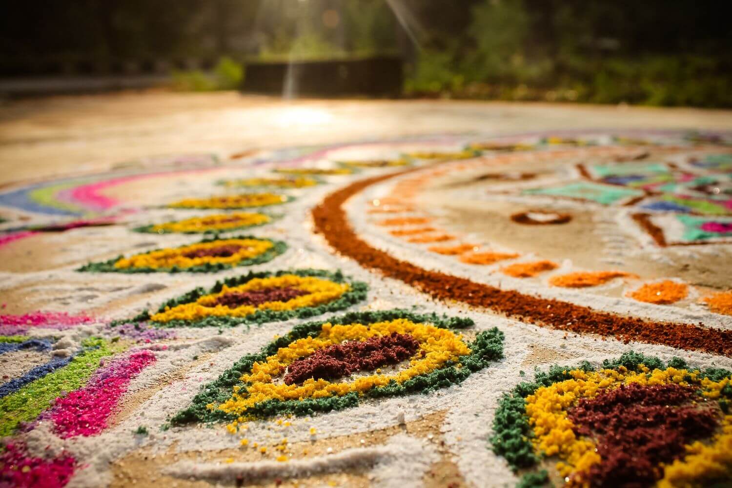 celebration of festivals	