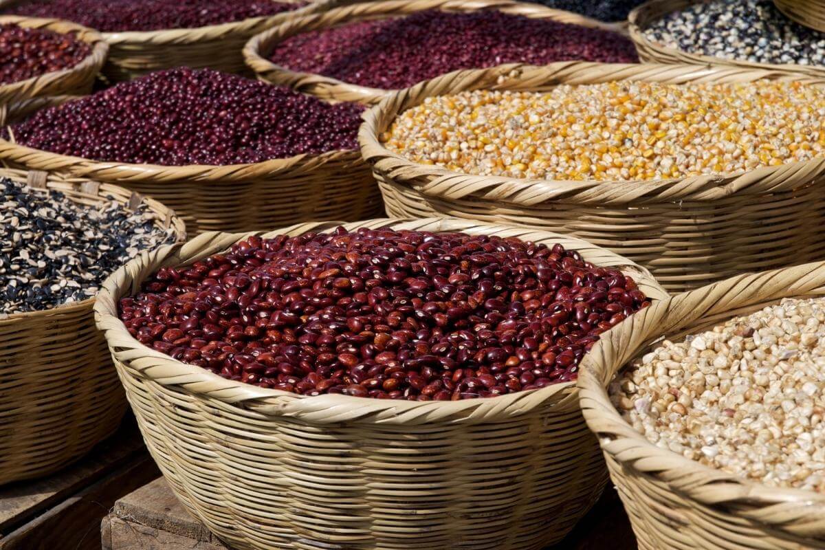 antigua staple grains