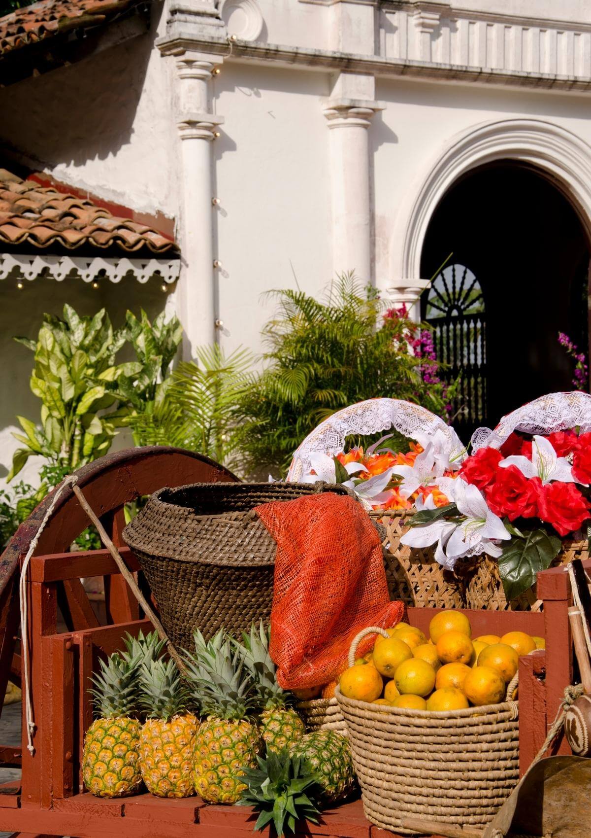 panama street fruits