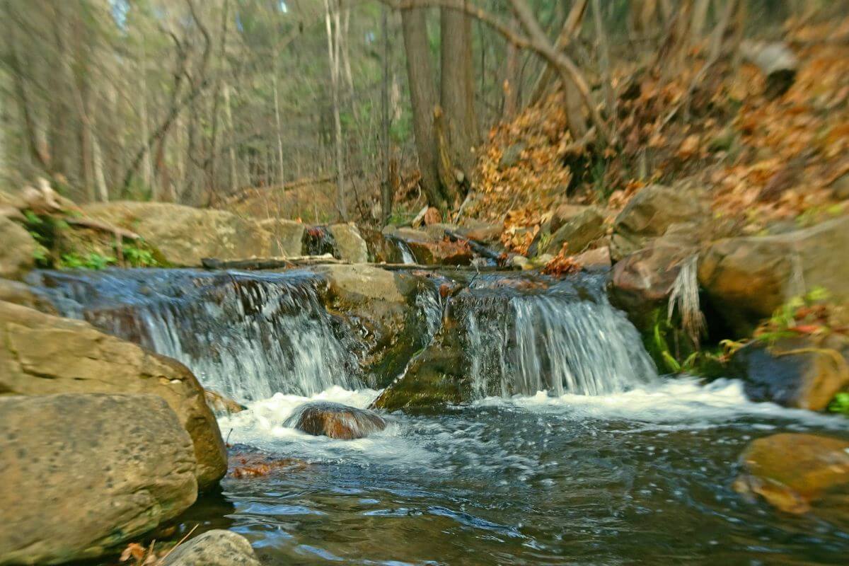 phoenix to vegas drive