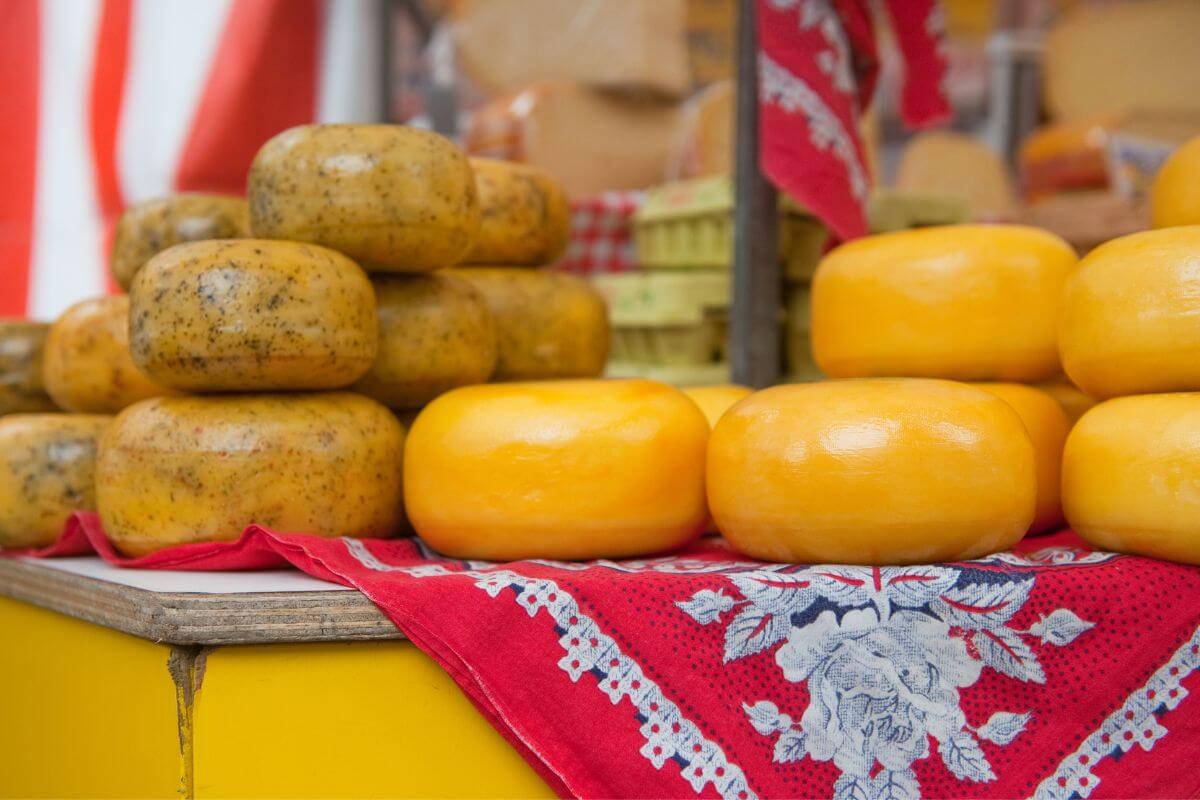 Dutch cheese from Amsterdam