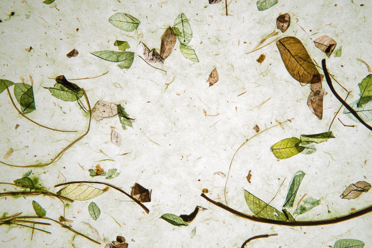 Hanji paper art souvenirs from South Korea