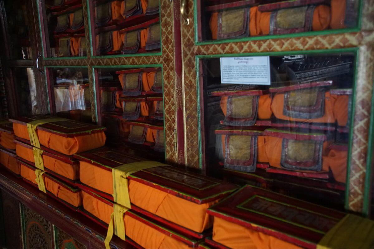 Books are insightful souvenirs from India