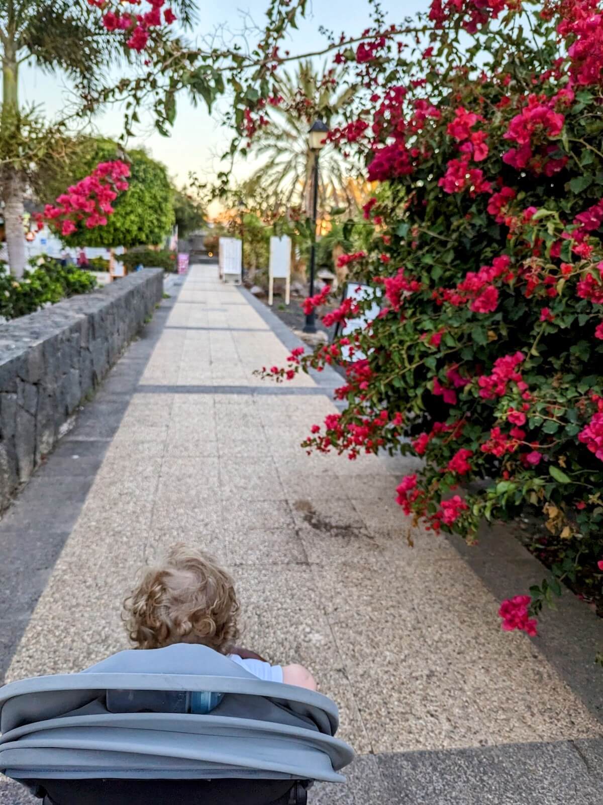 what to do playa blanca