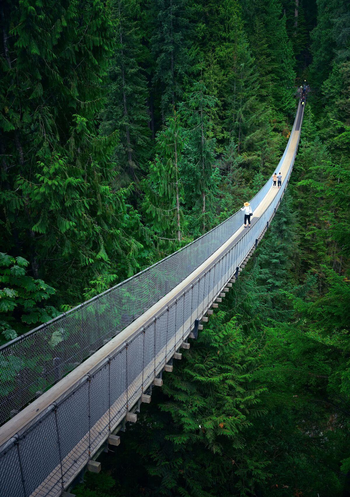 Capilano Suspension Bridge Park 