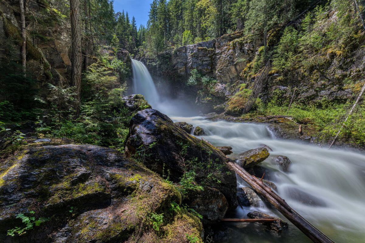 Stop at Revelstoke on your drive from Vancouver to Banff