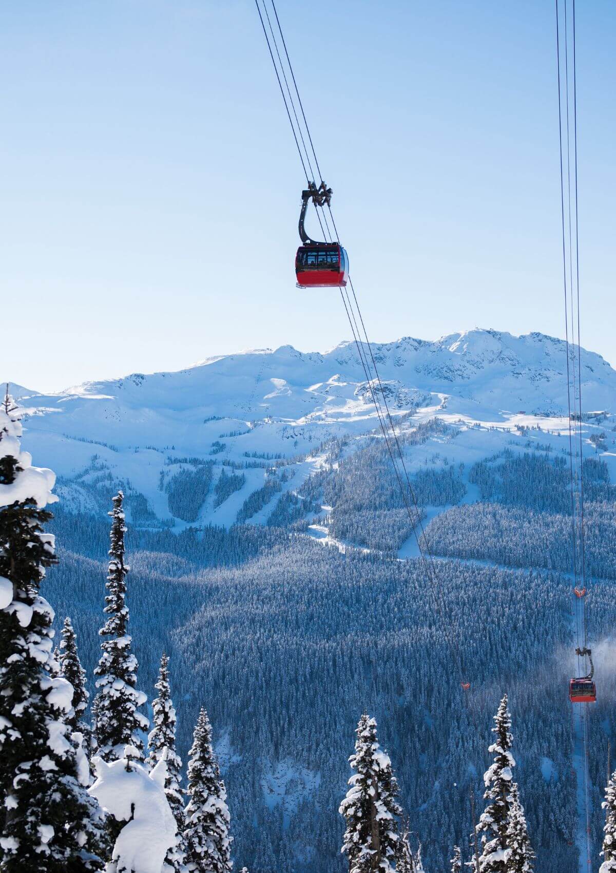 Whistler 