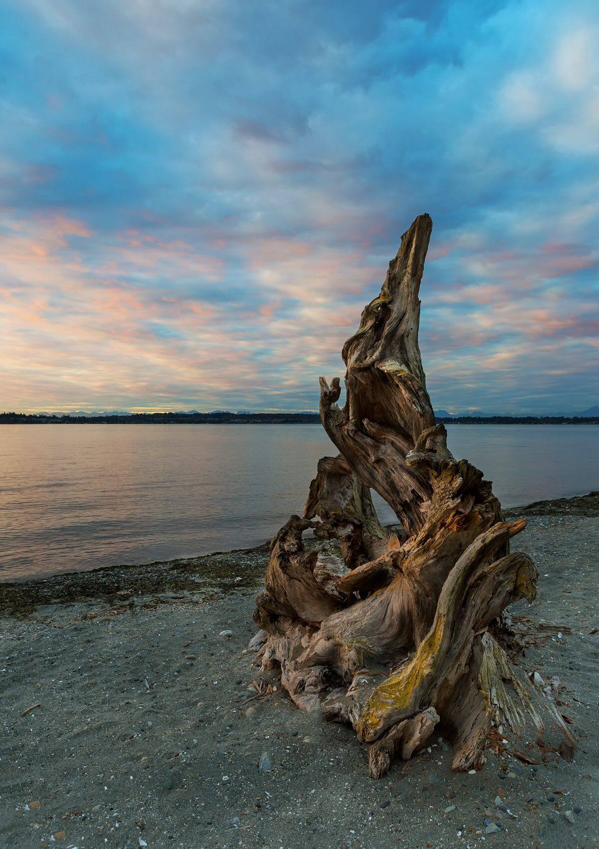 Birch Bay State Park