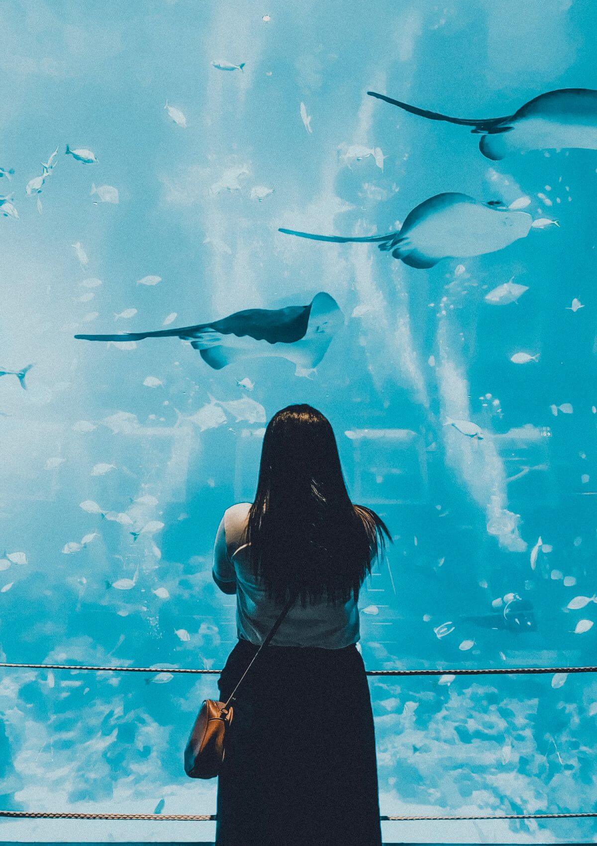 SEA LIFE Scheveningen