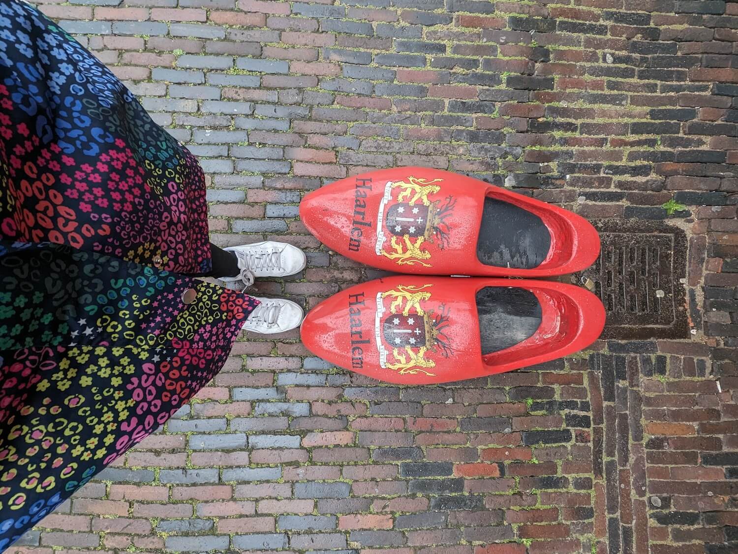 road trip in haarlem