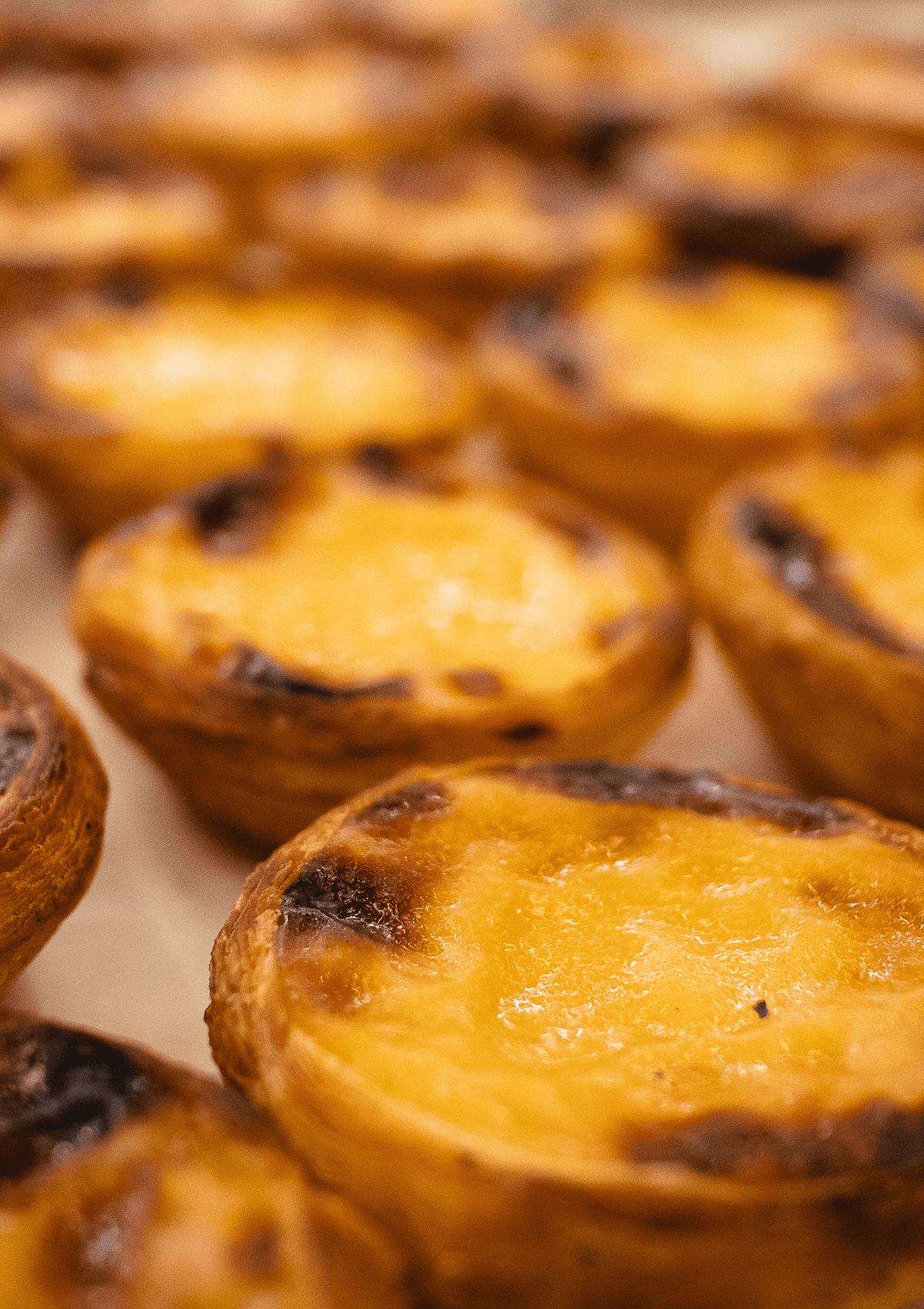 Enjoy Pastel de nata during your 3 days in Porto