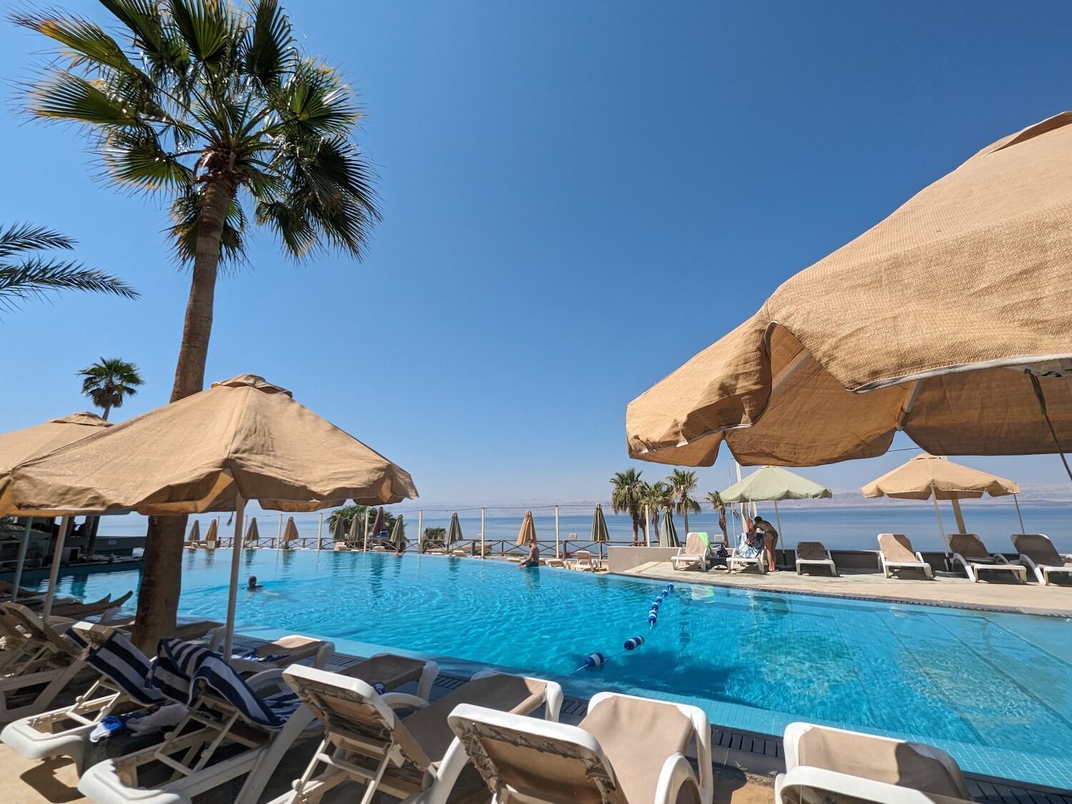 swimming in the dead sea