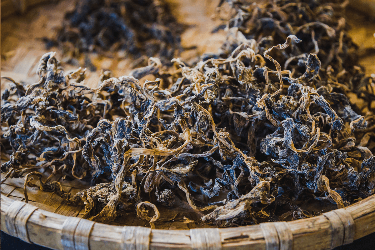 must-try Street Foods in Nepal Gundruk