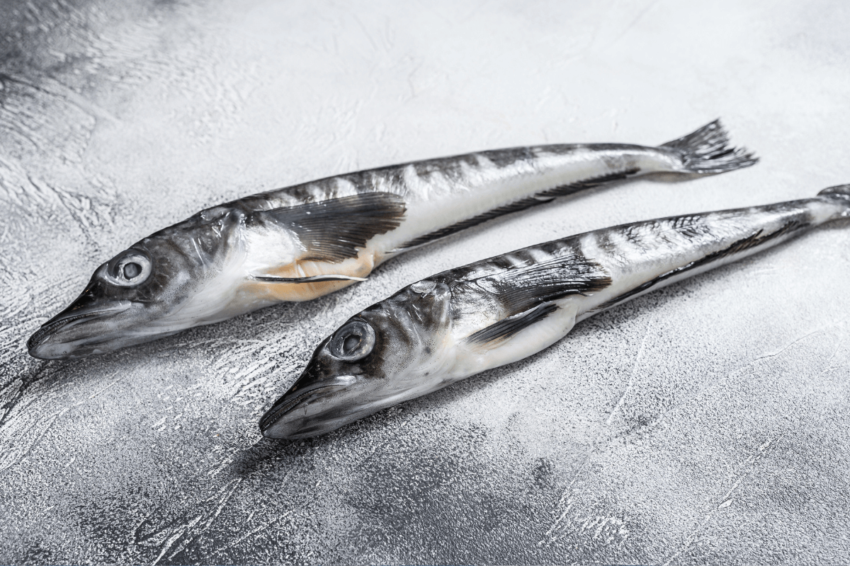 Inje Icefish Festival Best Places to Visit in Winter in Korea