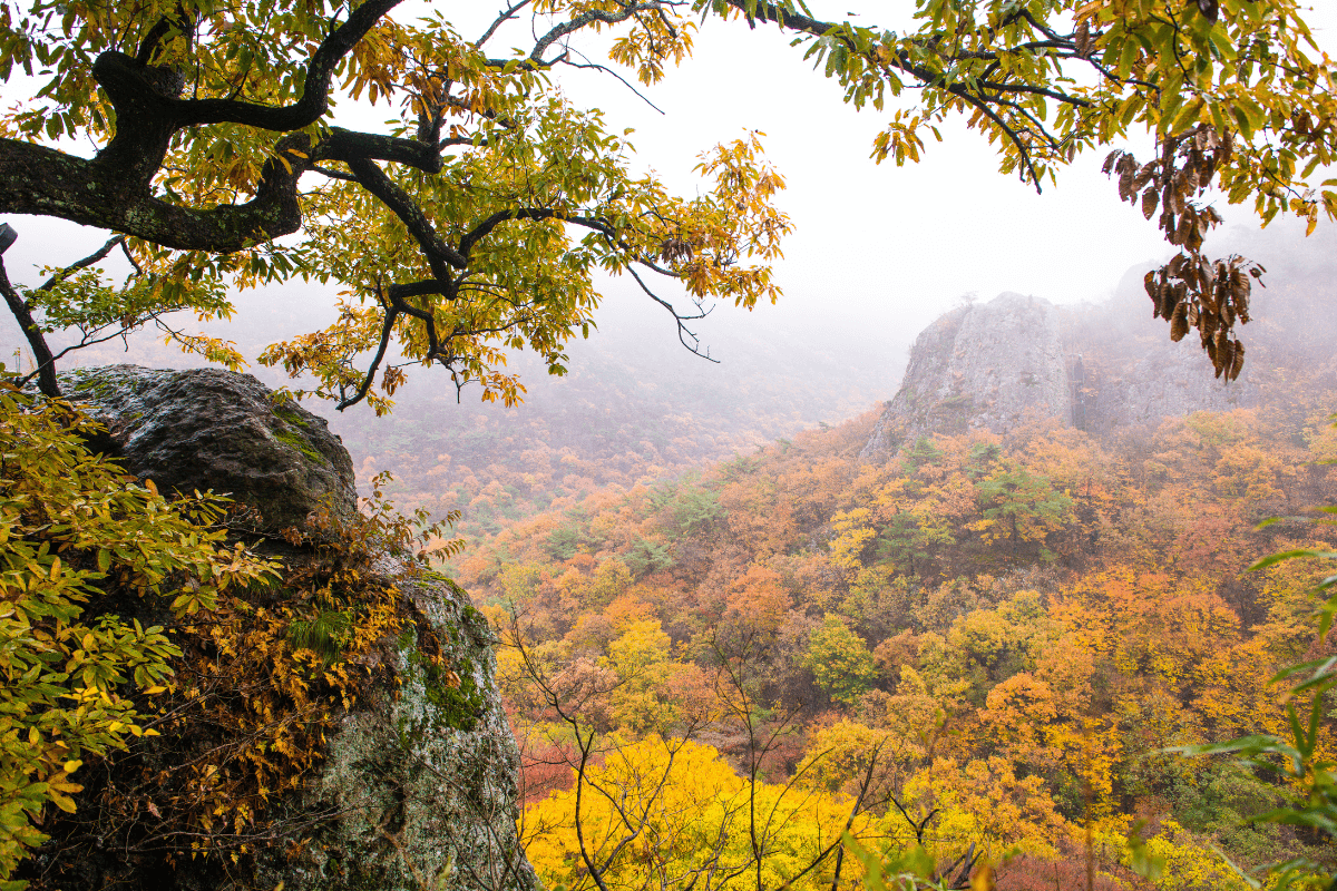 Mudeungsan National Park Best Places to Visit in Winter in Korea