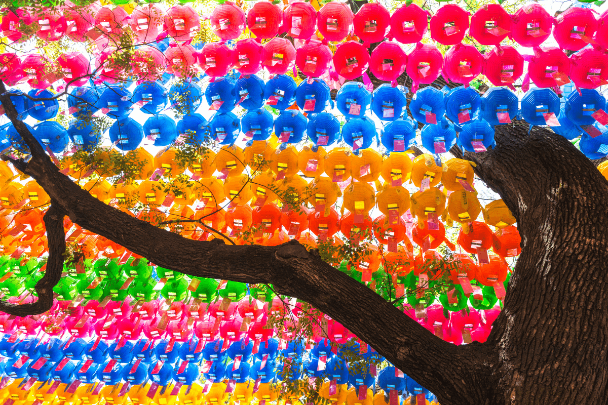 Jogyesa Temple trees with lights are a must see in Seoul