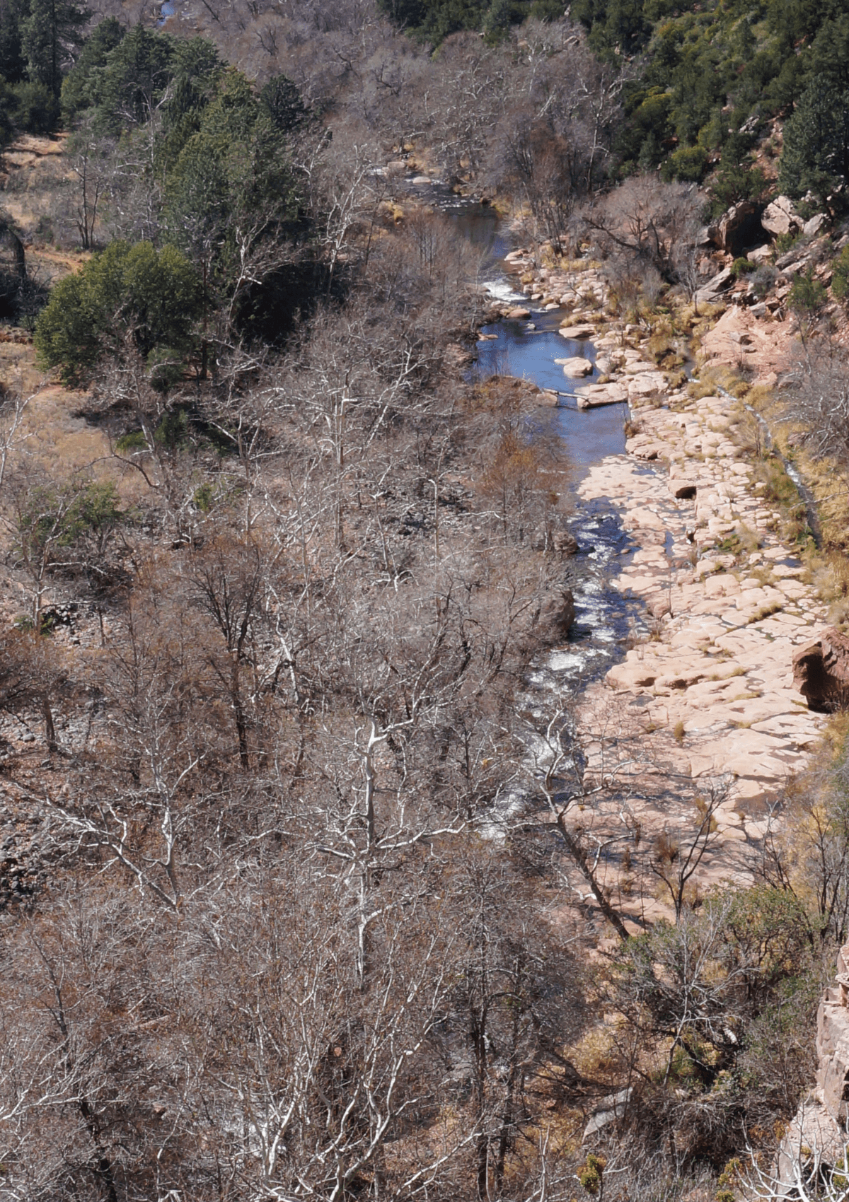 Oak Creek Canyon Arizona detour on route to see Grand Canyon