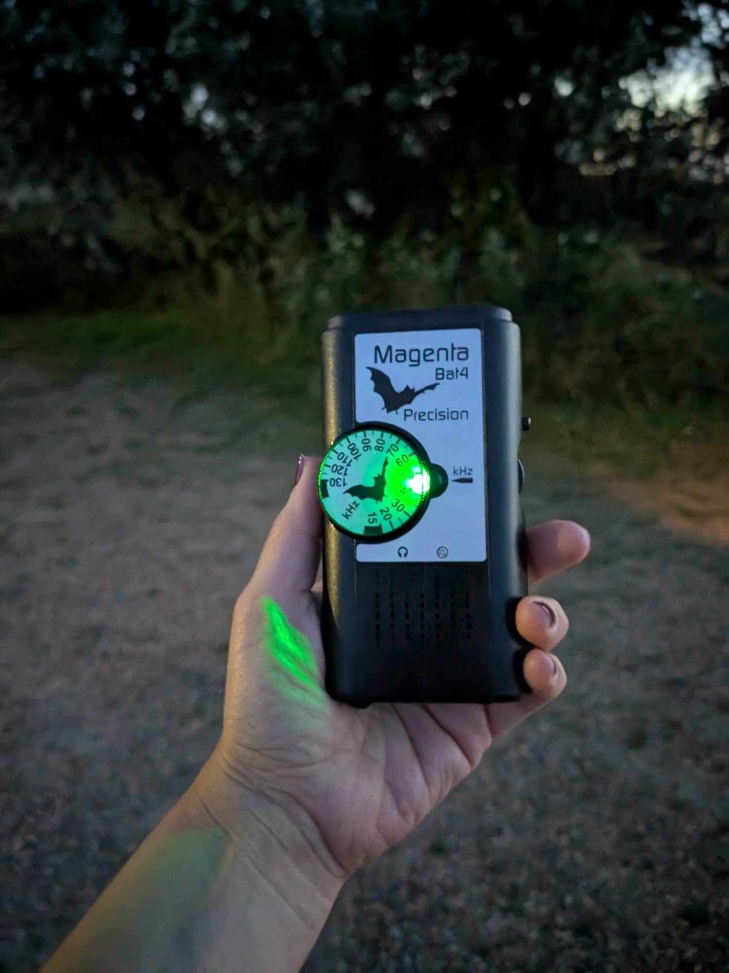 Our bat detector on Alderney