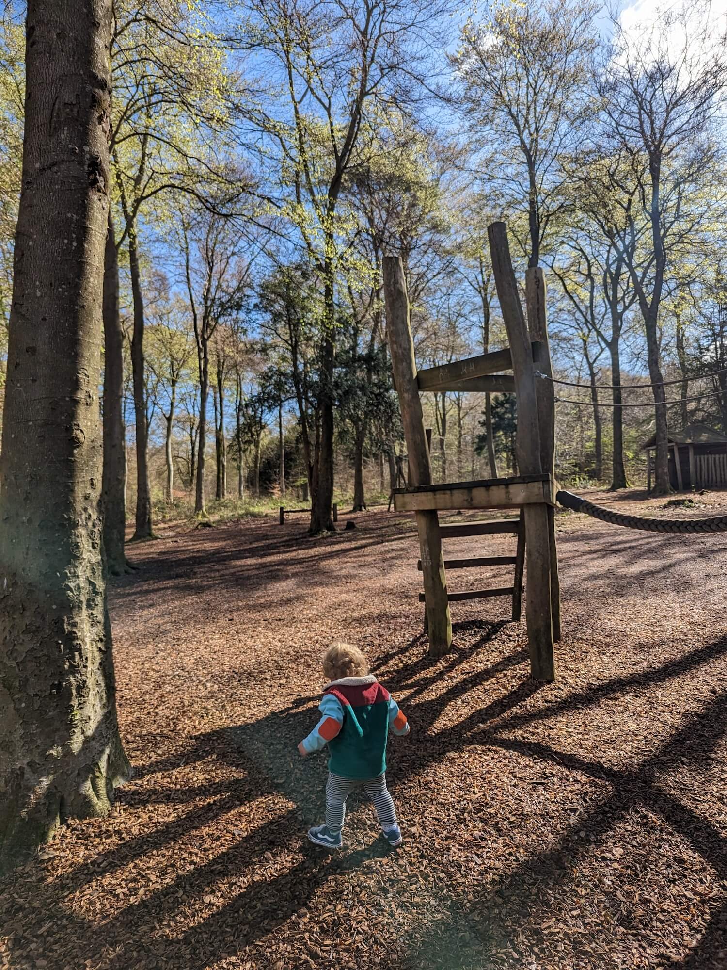 a child walking in a park
