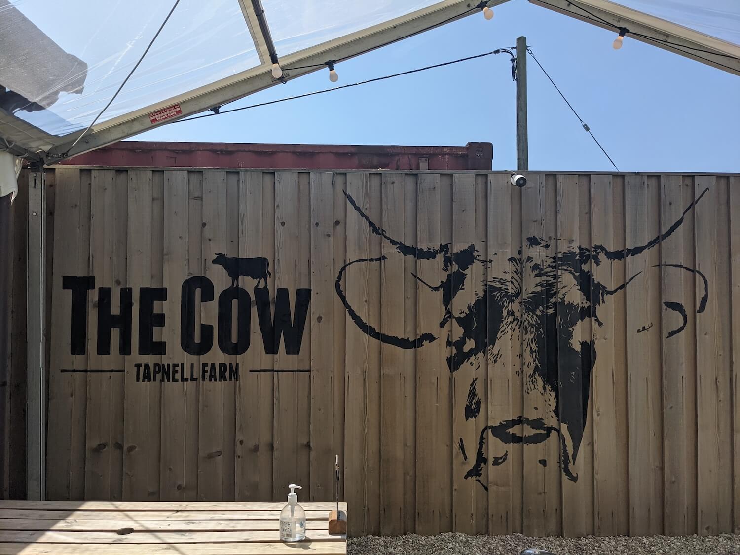 The Cow at Tapnell Farm
