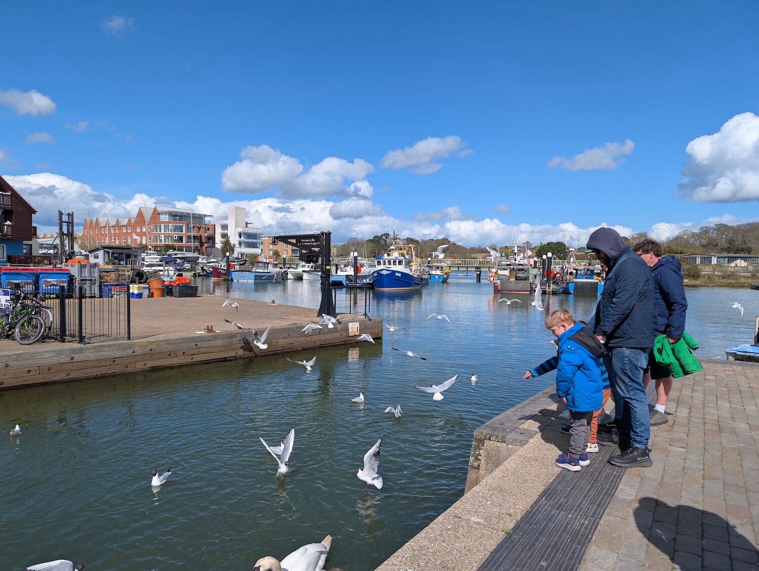 Feeding the birds at Lymington Harbour
