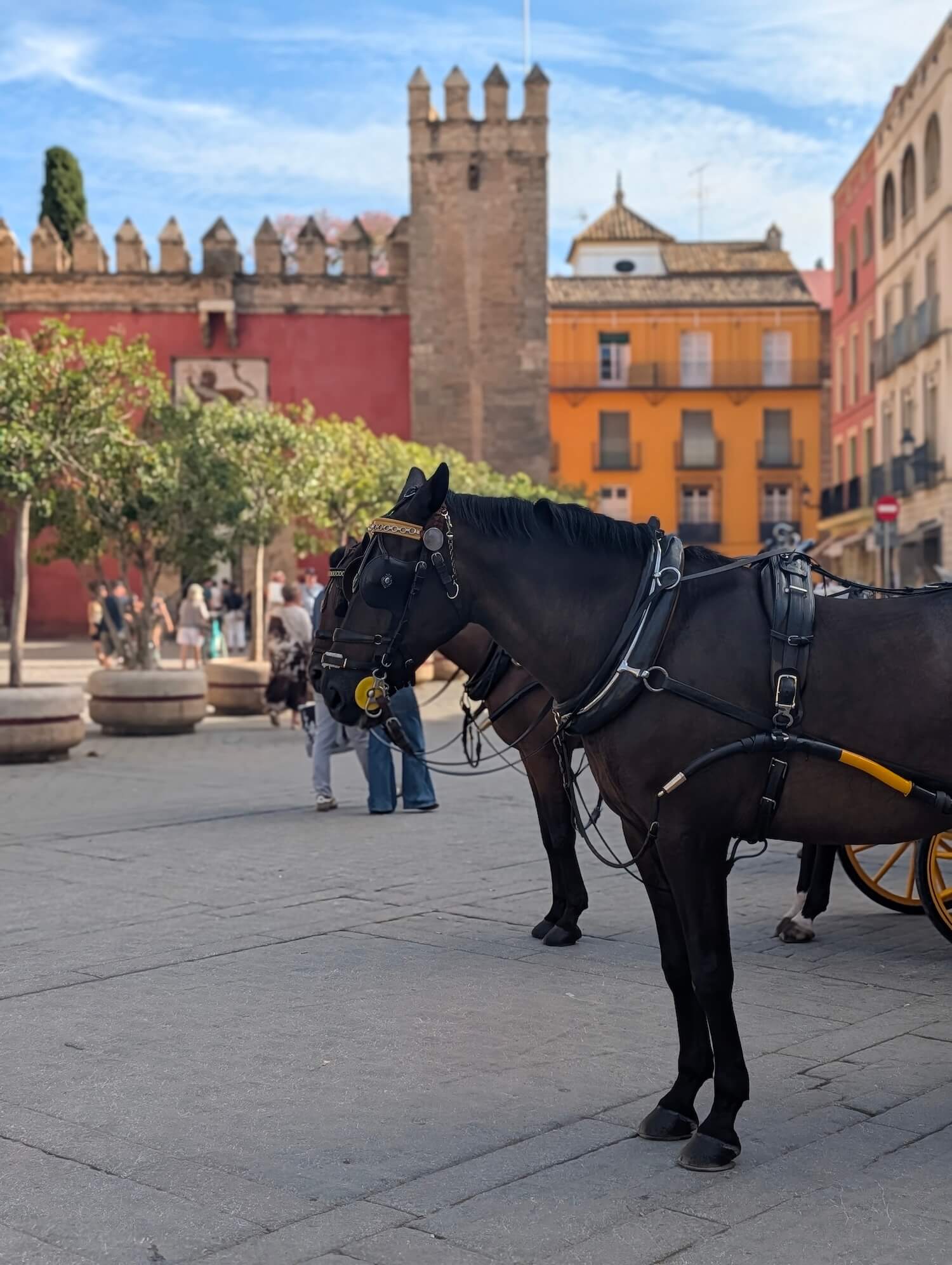 Cost of Seville